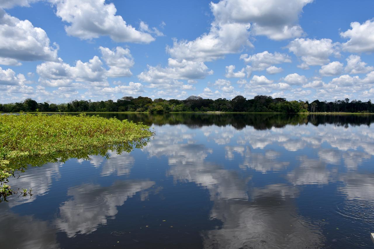 Yaku Amazon Lodge & Expeditions Paraiso Exterior photo
